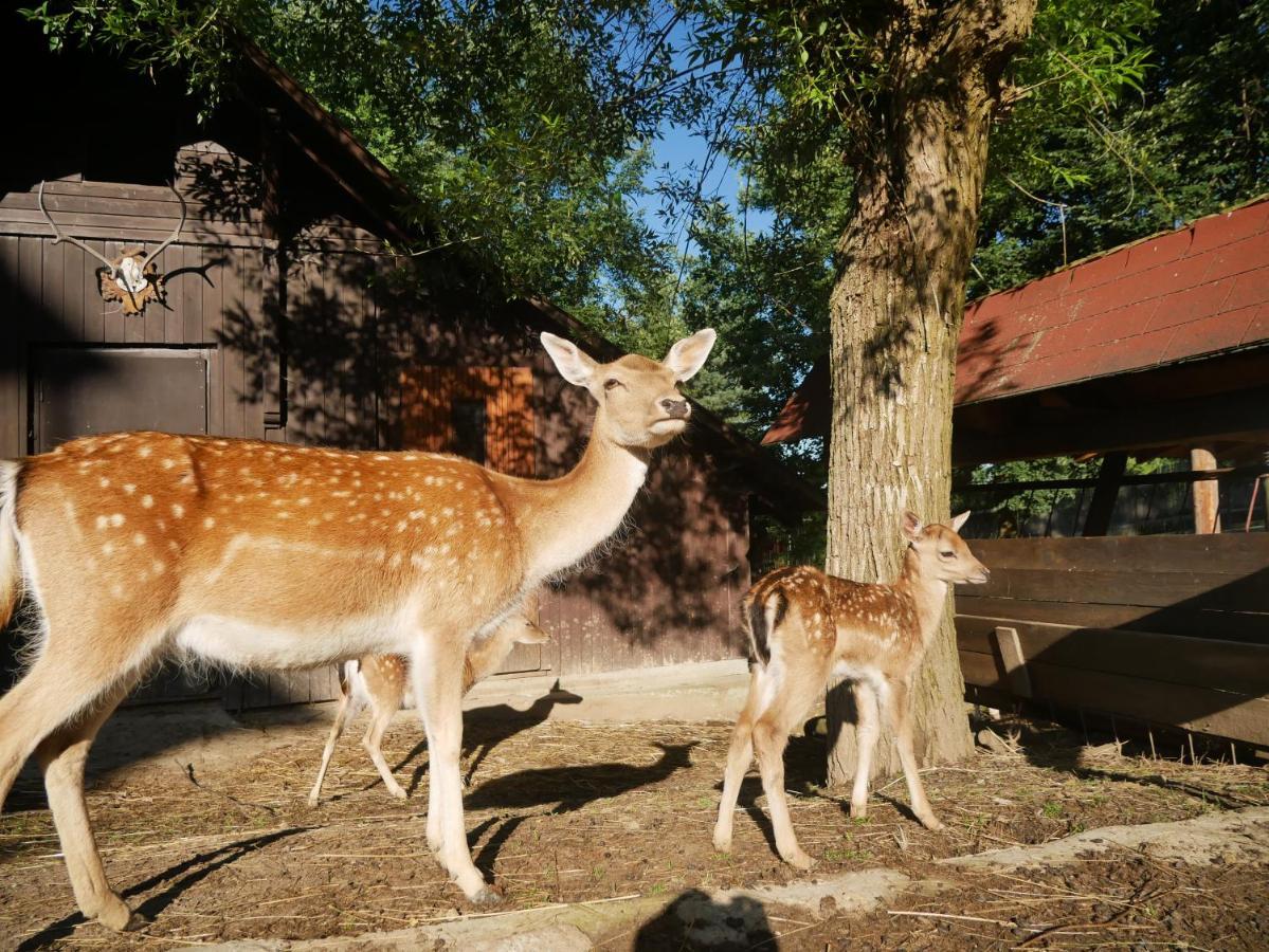 Penzion Obora Prostřední Bečva Esterno foto