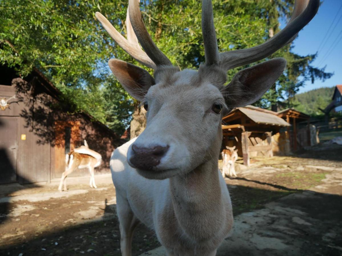 Penzion Obora Prostřední Bečva Esterno foto