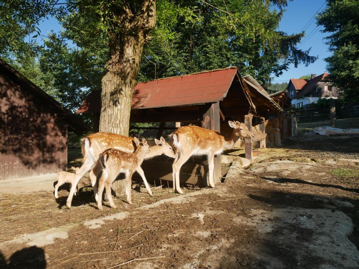 Penzion Obora Prostřední Bečva Esterno foto