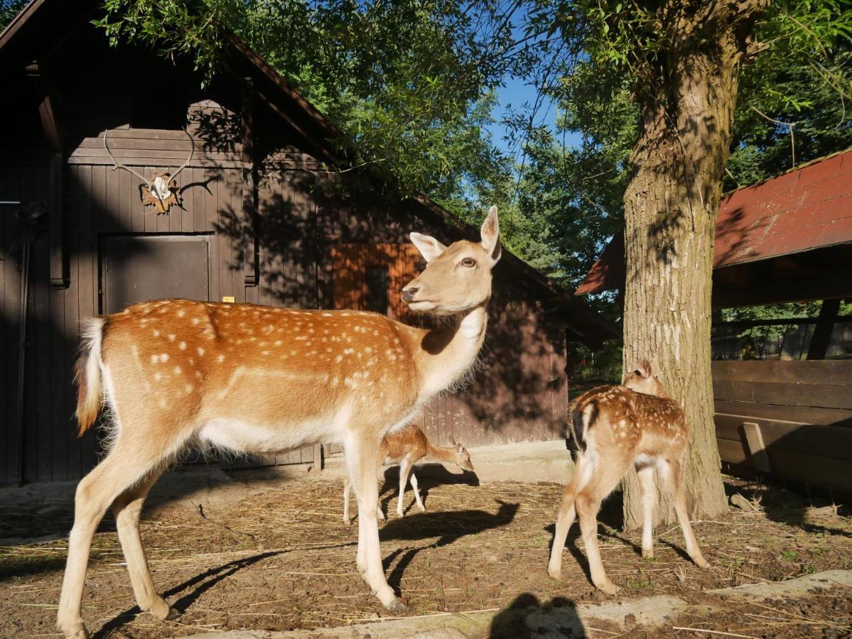 Penzion Obora Prostřední Bečva Esterno foto